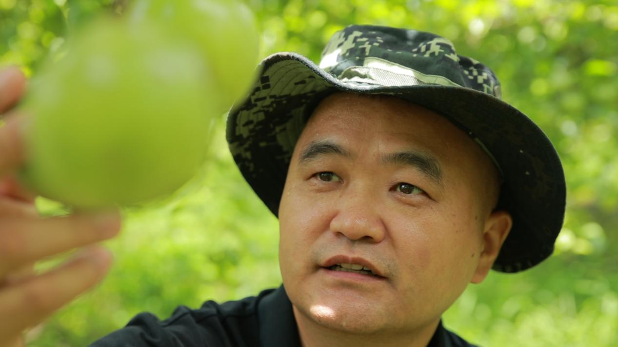 图片9.png 图片9.png