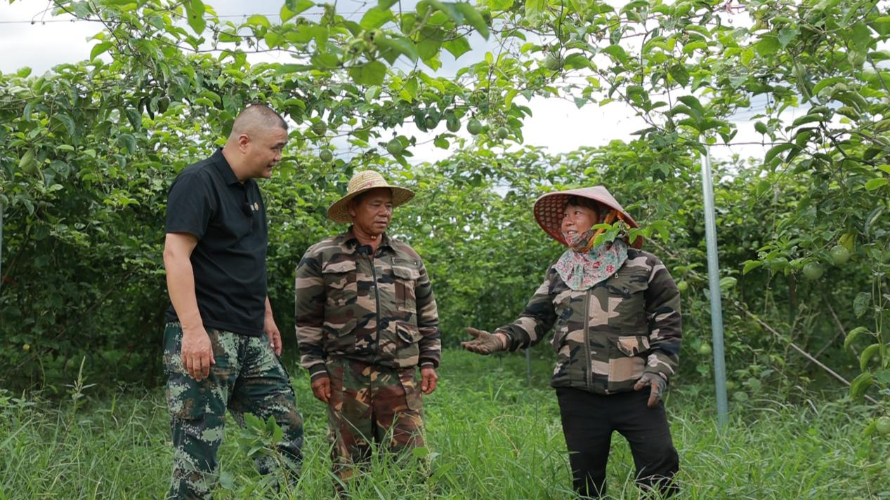 图片8.png 图片8.png