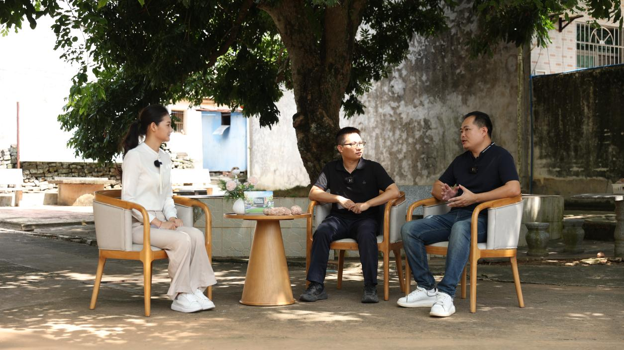 图片15.png 图片15.png