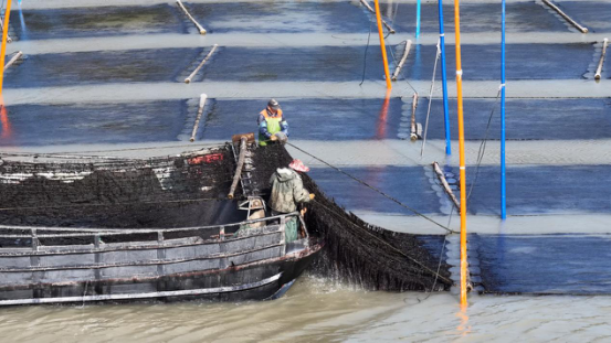 图片7.png 图片7.png