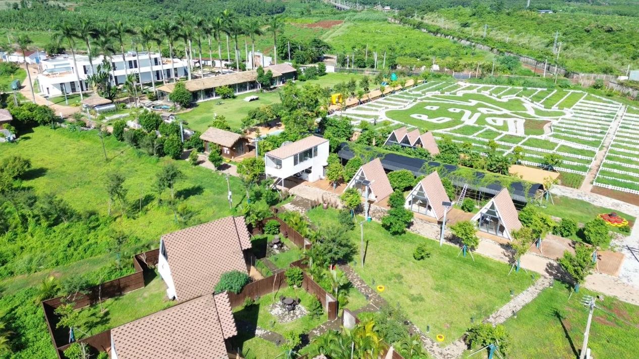 图片1.png 图片1.png