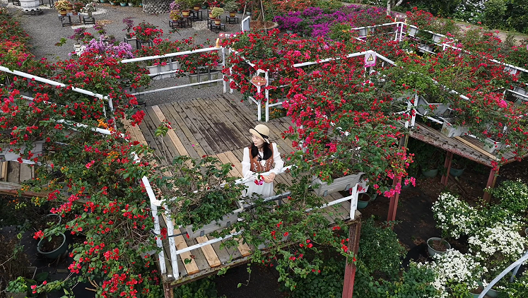 图片3.png 图片3.png