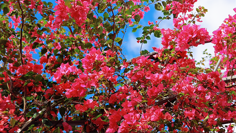 图片4.png 图片4.png