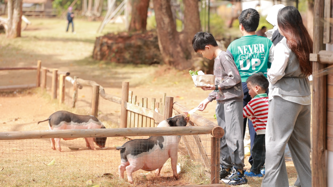 图片8.png 图片8.png