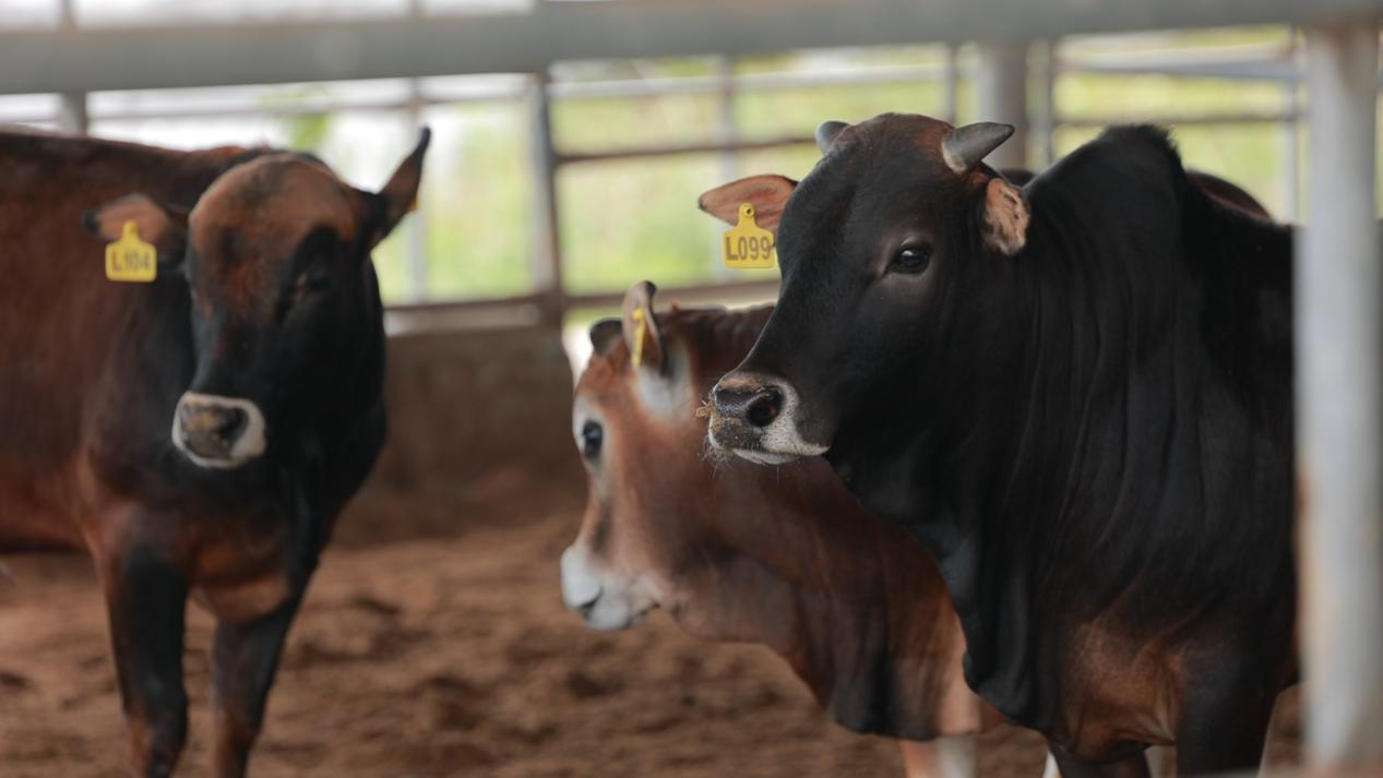 图片6.png 图片6.png