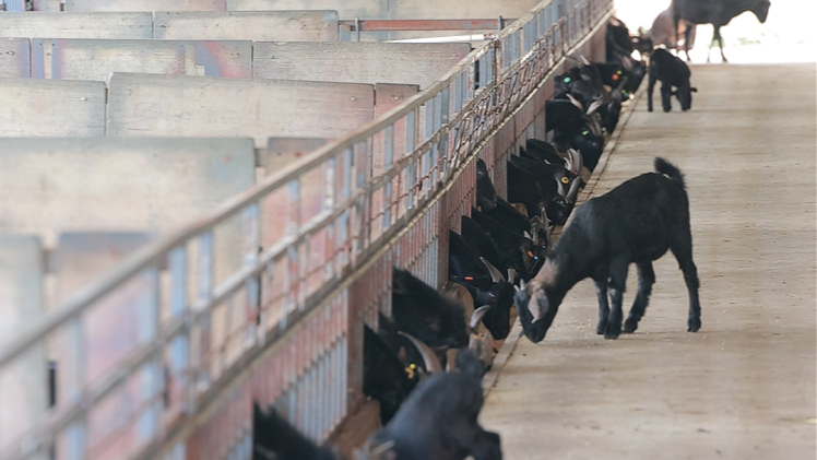 图片5.png 图片5.png