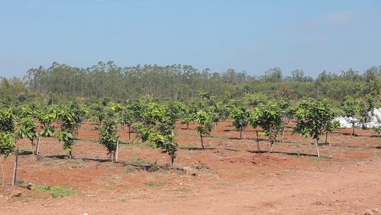 图片4.png 图片4.png