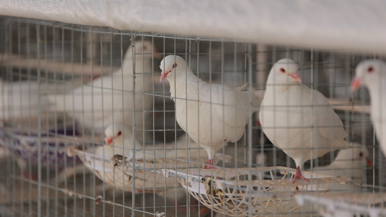 图片3.png 图片3.png