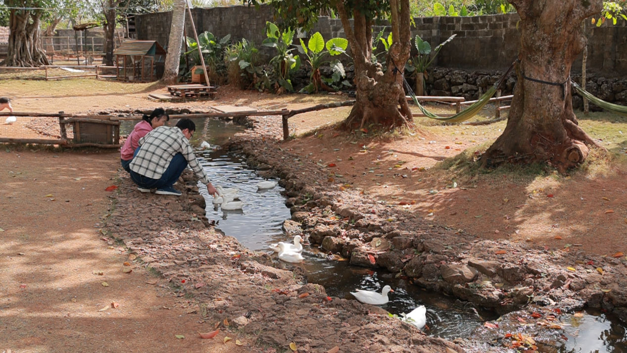 图片9.png 图片9.png