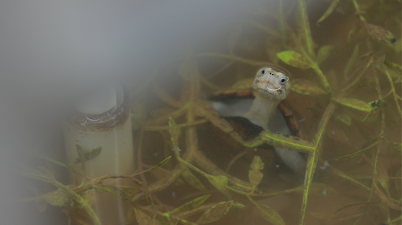 图片6.png 图片6.png