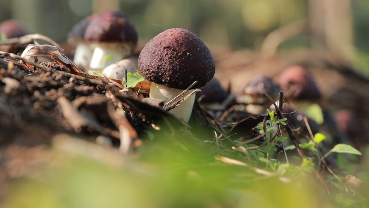 图片3.png 图片3.png