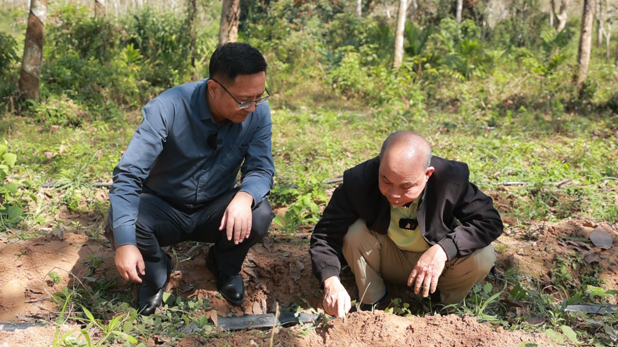 图片2.png 图片2.png